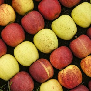 royal delicious apples (red)