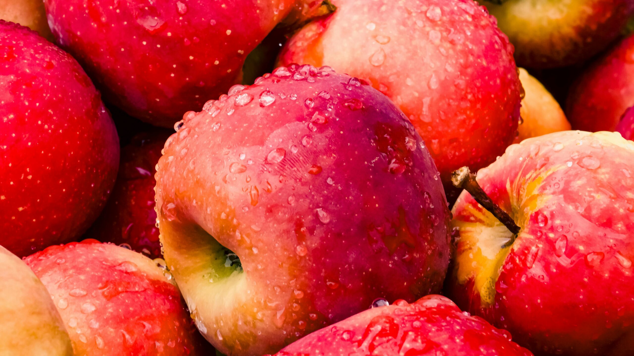 fuji apple fuji apple